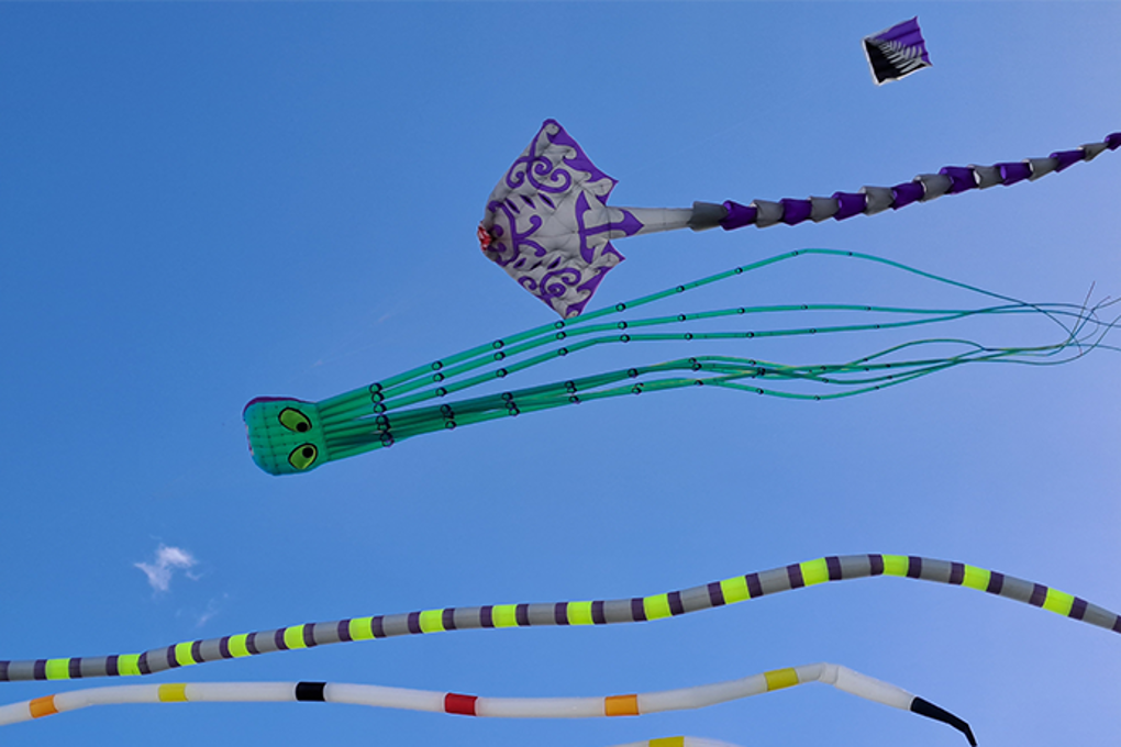 Pou 3 Matariki Whakarewa Manu Kite Day 2026