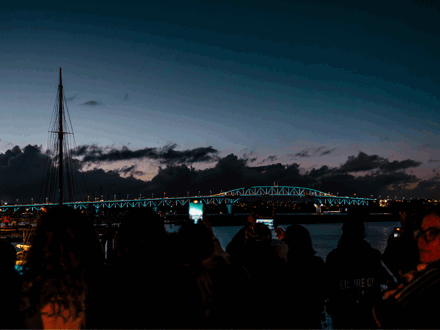 Vector Lights for Matariki 2026_OA_o3s0ym2s.png