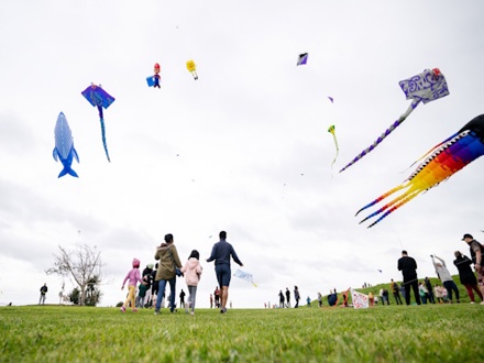 Event Submission 88 Puketapapa Manu Aute Kite Day