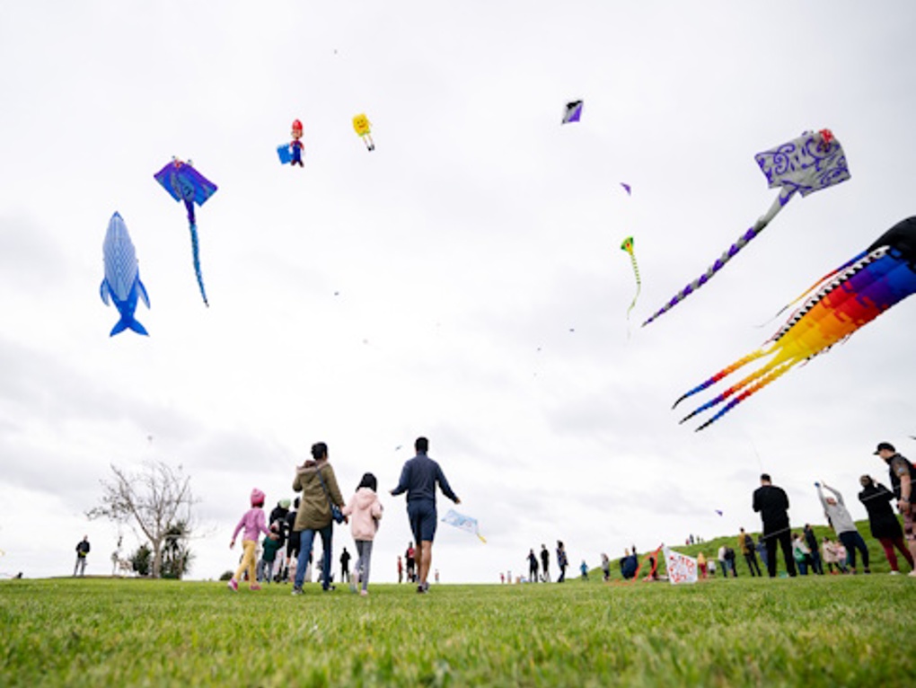 Event Submission 88 Puketapapa Manu Aute Kite Day