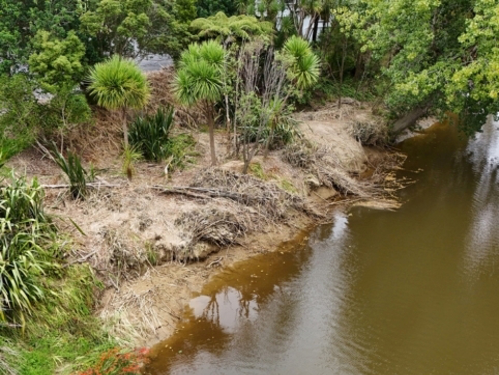 Event Submission 7 Puhoi Riverside Planting Day