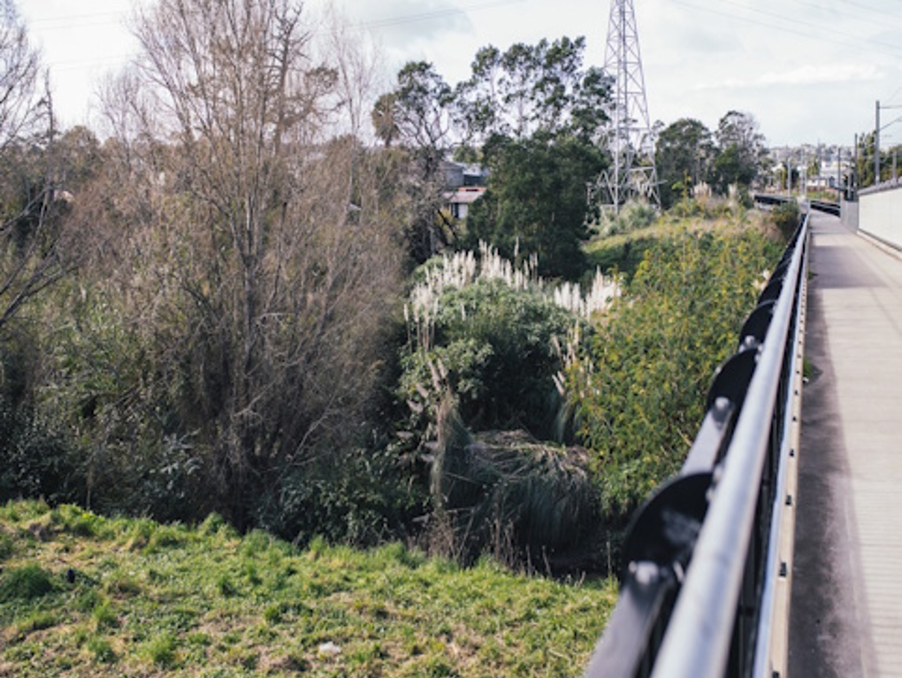 Event Submission 37 Matariki Planting By The Bike Path