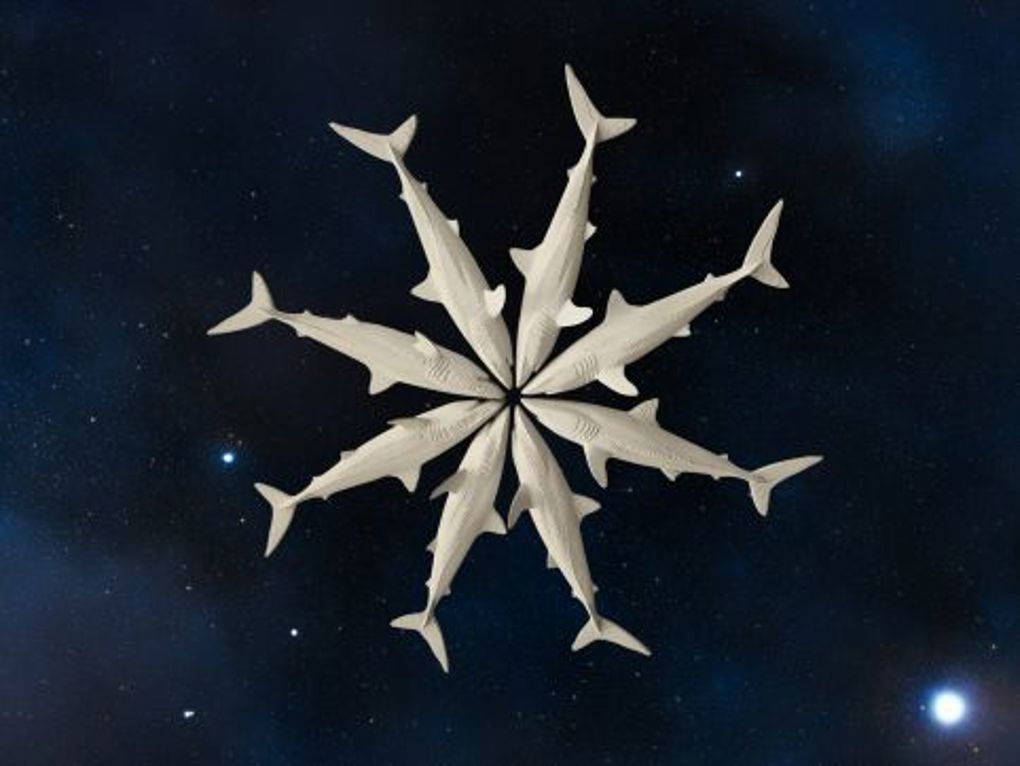 Event Submission 56 Mako & Matariki