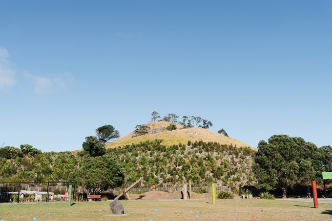 Love Your Maunga