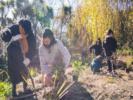 Event Submission 36 Matariki Planting At Te Kōtuitanga