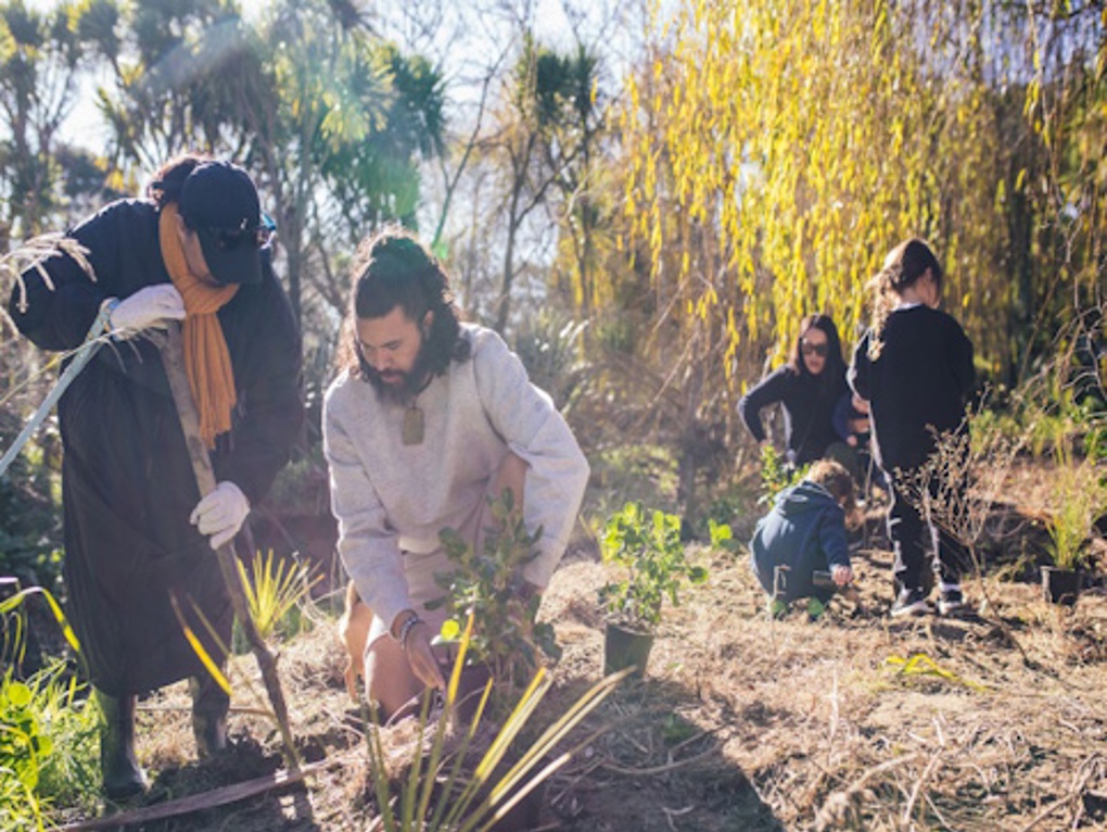 Event Submission 36 Matariki Planting At Te Kōtuitanga