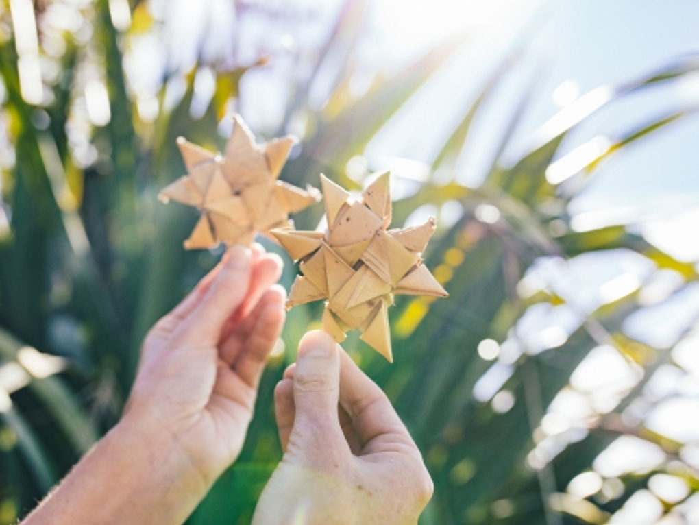 Event Submission 24 Make A Matariki Star